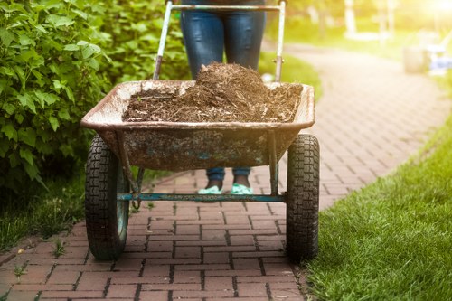 Garden clearance equipment used by Balham professionals
