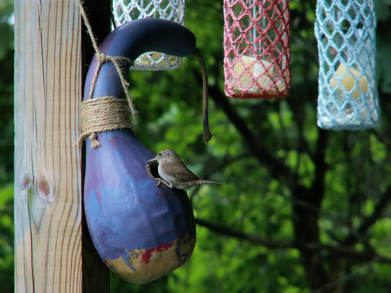 Rubbish removal Waste removal